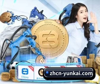 开云中国官方网站 APP